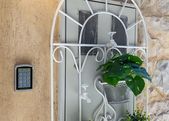 Deluxe Dino In The Old Town Of