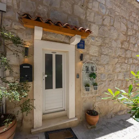 Deluxe Dino In The Old Town Of