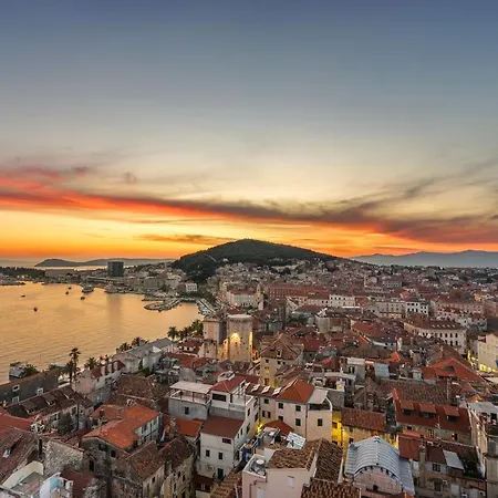 New!!! Deluxe Dino In The Old Town Of Split