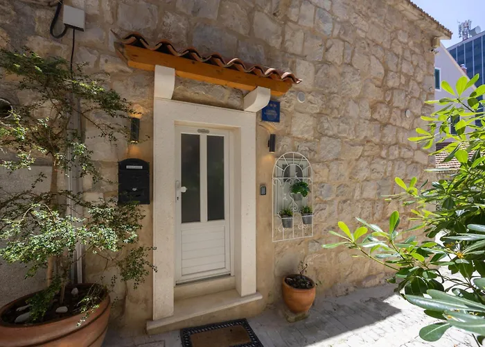 Deluxe Dino In The Old Town Of