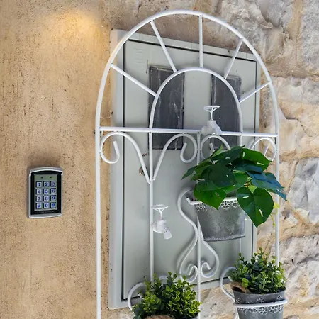 Deluxe Dino In The Old Town Of